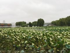 -长春市南湖公园