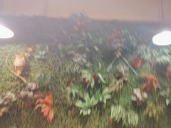 -味之绝热血美蛙鱼火锅(中坝店)