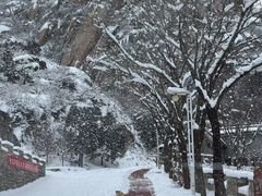 -北京凤凰岭