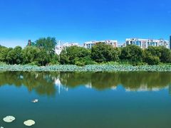 -新江湾城公园