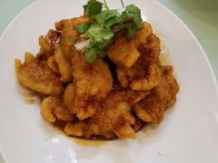 传统老式锅包肉-红高粱大酒店(宁山东路店)