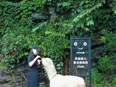 -昆明青龙峡风景区