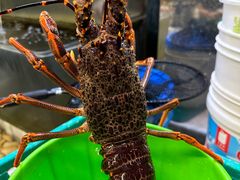 -海上人家The Sea Food Paradise Restaurant & Bar