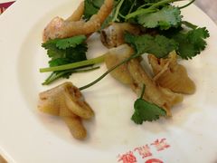 -振鼎鸡(丰庄路店)