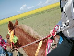 -青海湖国家重点风景名胜区