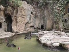 -燕塞湖鸟语林景区