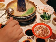-董记老清泉·鲜切涮羊肉(窑岭店)