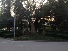 -双榆树公园