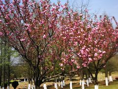 -白塘生态植物园