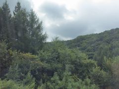 -红河谷漂流