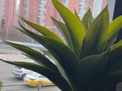 -百富源·海鲜辽菜(浑河堡店)
