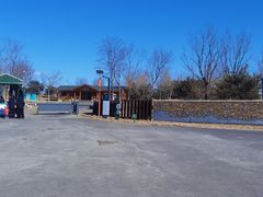 -东郊湿地公园