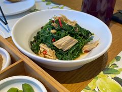 腐竹丝瓜尖-青梅酒肆PLUS(长白仙岛北路店)