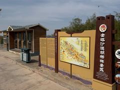 -金塔沙漠胡杨林景区