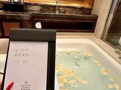 -郑州美盛喜来登大酒店