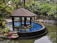 -厦门日月谷温泉渡假村