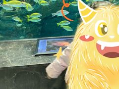 -海合安成都极地海洋公园
