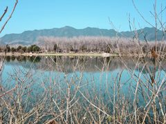 -东梓关景区村庄