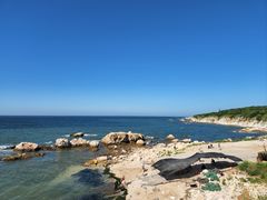 -养马岛旅游度假区