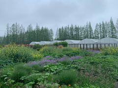 -前小桔亲子创意农场·草莓采摘·露营烧烤