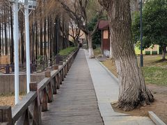 -太湖湖滨国家湿地公园-停车场