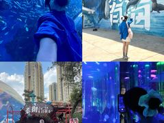 -海合安成都极地海洋公园