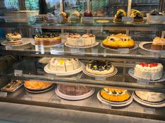 -Fern Forest Cafe