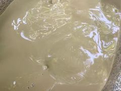 -100蛋泥浆浴
