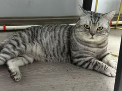 -联合动物医院(光谷诊疗中心)