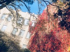 -辽宁大学(崇山校区)