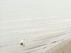 -海沧湾公园
