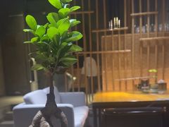 -竹里馆 ·茶食(奥体店)