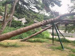 -阳台山自然风景区