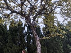 -南沙蒲洲花园