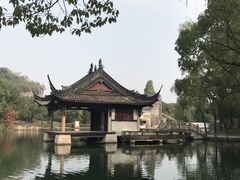-鲁镇