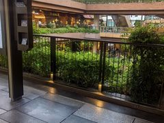 -瑞虹新天地月亮湾