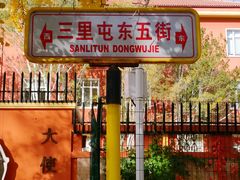 -三里屯东五街银杏大道