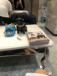 -IN STYLE·全国形象店