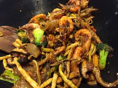 -食乐佳麻辣香锅(森林摩尔商业街区店)