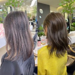 点击看大图 -GANO HAIR