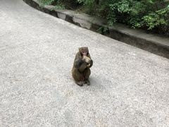 -北京上方山国家森林公园