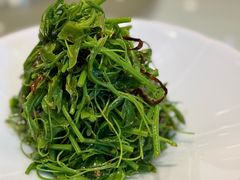 油鸡枞拌辣木苗-马旺子酒楼