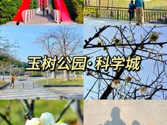 -玉树公园