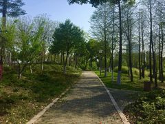 -尚贤河湿地