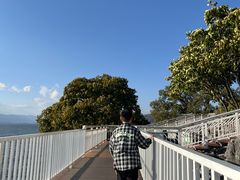 -南诏风情岛