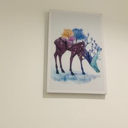 -舒欣头疗  白发脱发专业护理