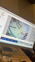 -史云逊养发护发