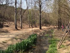 -白水寺森林公园