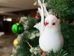 -广州富力君悦大酒店·凯菲厅