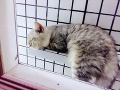 -娜娜家•Nana’Garden (福州道店)